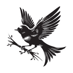 Silhouette of a bird on white background