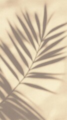 Palm leaf shadow cast textured beige surface soft warm light serene minimalist aesthetic