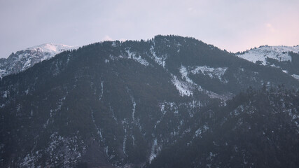 Obraz premium Mountain Vista: Snow-Covered Peaks and Evergreen Trees