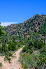 Sentier du massif de l'Est&eacute;rel