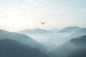 Silhouettes of mountains in the mist and bird flying