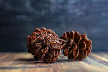 a bunch of dried pine cones on an abstract patterned wooden board