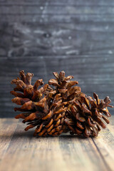 a bunch of dried pine cones on an abstract patterned wooden board