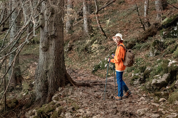 Woman enjoying trekking in the woods during fall season, wearing hiking boots and using poles