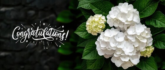 Congratulations White Hydrangea Blooms Celebrate Success and Achievement