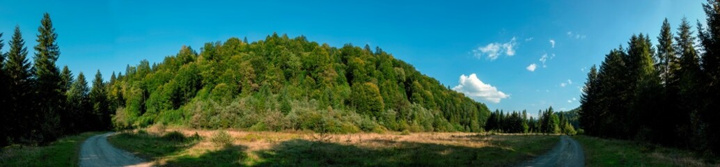 Panorama of a green meadow surrounded by a forest. A large green meadow surrounded by a forest. Forest meadow.