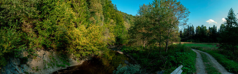 Panorama of a green meadow surrounded by a forest. A large green meadow surrounded by a forest. Forest meadow.