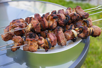 Juicy grilled meat skewers with onions served, freshly cooked over an open flame for an outdoor barbecue, showcasing a mouthwatering meal against a blurred background of grass