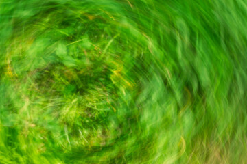 Swirling green grass creates a vibrant circular pattern in nature
