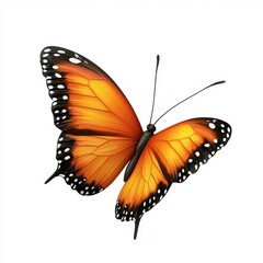 Fototapeta premium A vibrant orange and black butterfly with intricate wing patterns gracefully poised against a white background.
