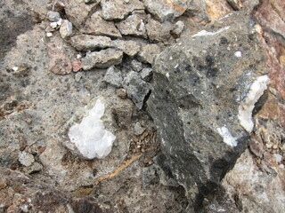 Zeolite collection in Golden, Colorado, Rockhounding in Colorado