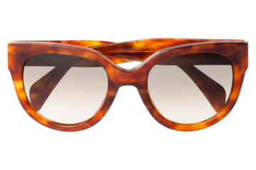 サングラス (sunglasses)	