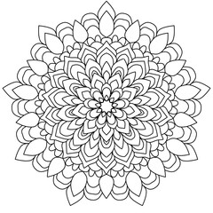 vector illustration of a flower