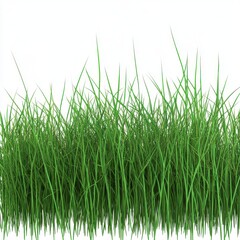 Fototapeta premium Vibrant green grass illuminated against a white background, creating a fresh and natural atmosphere.