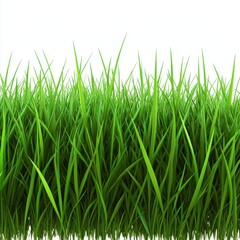 Fototapeta premium Lush green grass blades create a vibrant natural carpet, symbolizing freshness and vitality.