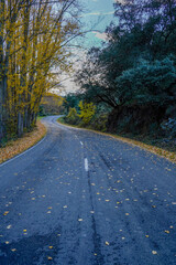 Mountain road with leaves in autumn