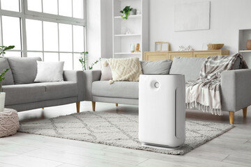 Interior of light living room with air purifier and sofas