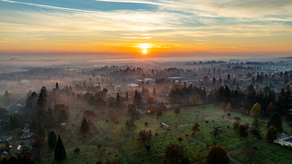 Fototapeta premium Foggy morning