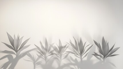 Naklejka premium Monochrome plant shadows cast on a white wall.
