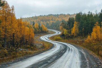 Fototapeta premium Empty winding road through autumnal forest landscape.