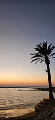 sunset on the beach © Monika