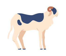 Norwegian fur sheep breed vector illustration