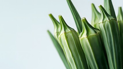 Obraz premium Fresh Green Okra Pods Close Up Image