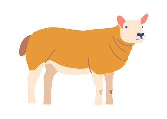 Lacaune sheep breed vector illustration