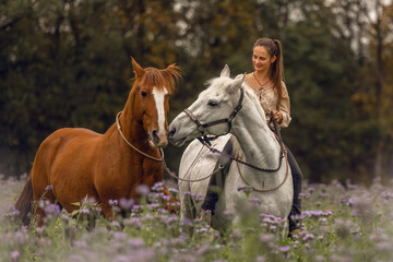 Fototapeta premium Horsemanship concept: A woman interacts with her two horses at a flower field in autumn outdoors