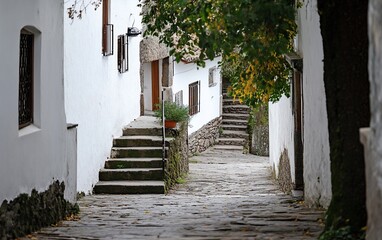 Obraz premium Narrow cobblestone alleyway between whitewashed buildings with stairs, plants, and autumn leaves.