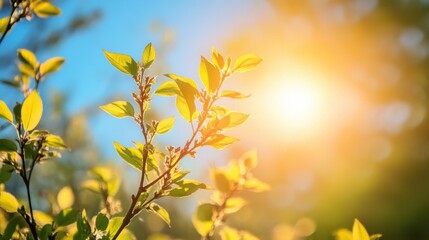 Sunlight illuminating vibrant green leaves.