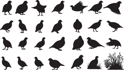 Partridge Bird Silhouettes