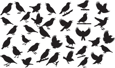 Solid Black Silhouette of a Nightingale