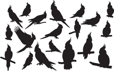 Obraz premium Solid Black Silhouette of a Cockatiel