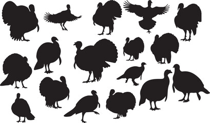 Solid Black Silhouette of a Turkey