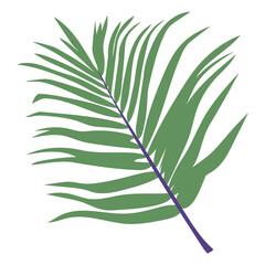 Colorful Tropical Leaf Illustration
