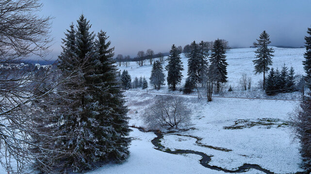 Verschneite Aue im Heimigbachtal mit dem Bachlauf des Heimigbach im Winter bei Schmiedefeld am Rennsteig, Stadt Suhl, Th&uuml;ringen, Deutschland, idyllische Naturaufnahme mit Tannen