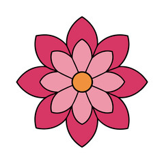 pink flower isolated on white