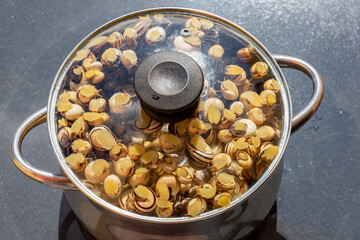Snails ready to be cooked in a pan seen through a transparent glass lid