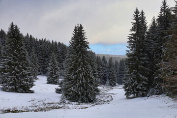 Wandern am Eisenberg, Thüringer Wald im Winter, Schmiedefeld am Rennsteig, Stadt Suhl, Thüringen, Deutschland