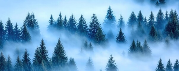 Obraz premium Mist forest concept. Serene forest landscape shrouded in mist, evoking a calm and tranquil atmosphere.