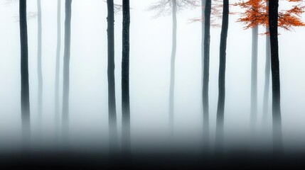 Mist forest concept. Misty forest with tall trees, capturing the serene beauty of nature and autumn colors.