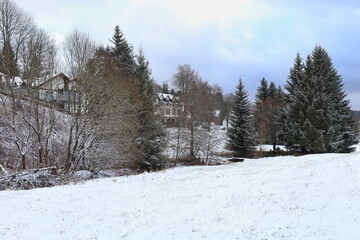 Blick auf Heimigbach, Heimigbachtal in Schmiedefeld am Rennsteig, Stadt Suhl, Thüringen, Deutschland	