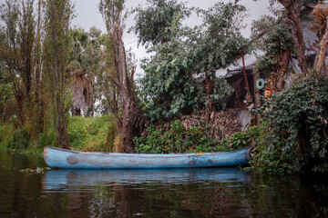 paseo en trajinera y en kayak por los canales de xochimilco durante el amancer
