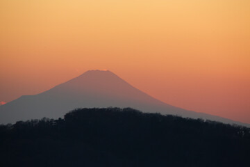 夕方の富士山