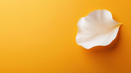 Fototapeta premium Minimal floral concept. Elegant white petal resting on a bright yellow background, symbolizing beauty and simplicity.