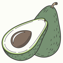 illustration of an avocado