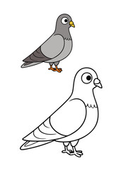 A gray pigeon coloring page featuring a detailed outline of a pigeon with soft gray feathers, standing or flying, perfect for a relaxing and creative coloring experience.
