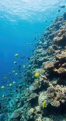 Fototapeta premium Vibrant Coral Reef Teeming With Tropical Fish Life