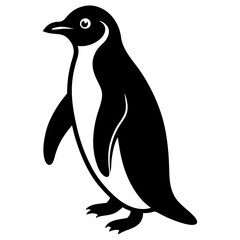 penguin illustration